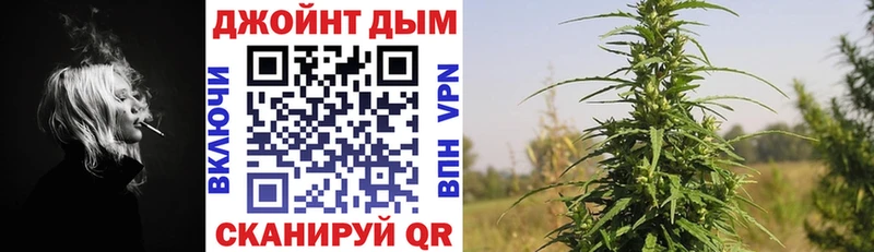 Каннабис гибрид Сычёвка