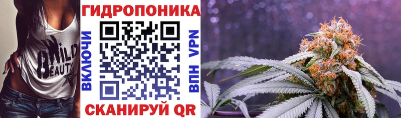 Каннабис индика  Купить где  Сычёвка 